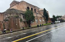 Colosseum Roman Forum and Palatine Sightseeing Audio Tour