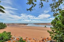 Darwin Signature City Nature and Sights Shore Excursion