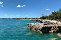 Darwin Signature City Nature and Sights Shore Excursion