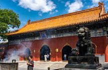 Dim Sum Breakfast&Tailored Beijing Highlights Tour-Pick Your Spot