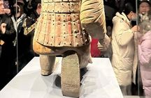 Terracotta Warriors Ticket with Professional English Guide 