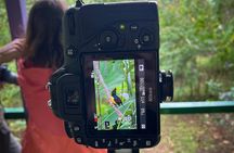 Birding and Photography Tour
