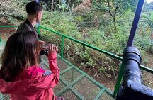 Birding and Photography Tour