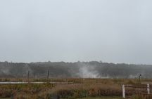 Hawai'i's Volcanoes National Park from Hilo Only