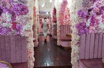  Phuket Pink Cafe with Giant Water Lily Pond Postcard