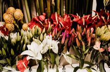 Cali Food Market Tour Galería Alameda with Exotic Tastings