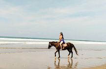 Bali Seminyak Beach Horse Riding with Private Pick Up