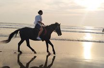 Bali Seminyak Beach Horse Riding with Private Pick Up