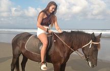 Bali Seminyak Beach Horse Riding with Private Pick Up