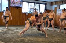 Tokyo Exciting Sumo pracice viewing and Modern Samurai Show tour