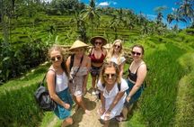 Bali Benoa Shore Excursions Private Ubud Tour 