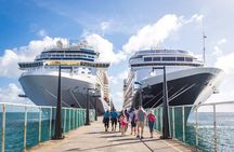 Bali Benoa Shore Excursions Private Ubud Tour 