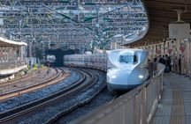 Mt. Fuji and Hakone Private Day Tour by Bullet Train and Car