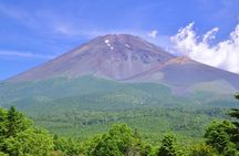 Mt. Fuji and Hakone Private Day Tour by Bullet Train and Car 