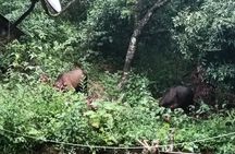 Vietnam Jungle Survival and Camping