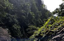 Vietnam Jungle Survival and Camping