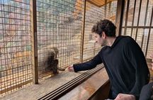Kyoto Highlights Private Tour with Local driver