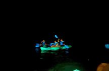 Clear Kayaks on BioBay