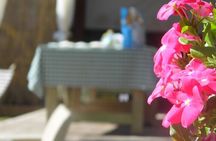 Italian gnocchi & tiramisù class at local farm Transfer included