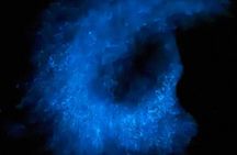 Clear Kayaks on BioBay