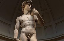Accademia Gallery: Elite Tour with Expert Guide