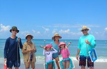 Guided Shark Tooth and Seashell Hunting Eco Tour on Manasota Key