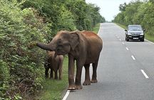 10-Day Sri Lanka Tour : Culture, Wildlife, Beach & Adventure