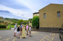 Top-Rated Hawke’s Bay Wine Tour - Small Group