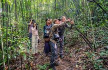 Jahoo: Gibbon Tracking Walk in Keo Seima Wildlife Sanctuary