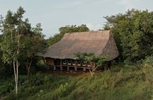 Jahoo: Gibbon Tracking Walk in Keo Seima Wildlife Sanctuary