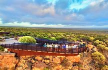 4-Day Monkey Mia Dolphins Pink Lake Pinnacles Comfort-Level Tour