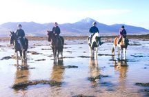 2 Hour Guided Beach and Countryside Horse Riding Outside Westport