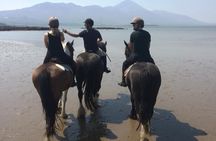 2 Hour Guided Beach and Countryside Horse Riding Outside Westport