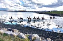 2 Hour Guided Beach and Countryside Horse Riding Outside Westport