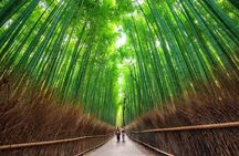 Nara and Kyoto Private Tour from Osaka