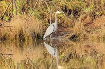 Scappoose Bay Kayak Adventure Private tour