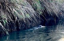 Scappoose Bay Kayak Adventure Private tour