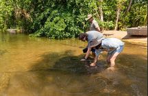Near Darwin Territory Wildlife Park General Entry