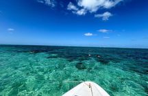 Mauritius: 5 Islands Speedboat Tour with BBQ and Snorkeling
