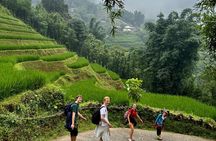 Authentic 2-Day Sapa Trekking with Local Black Hmong & Homestay