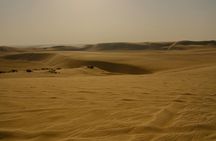 Qatar: Full day combo Tour Desert Safari with Dhow Cruise Dinner