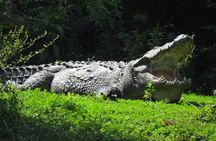 Yala National Park Full Day Safari - Ceylon Safari Tours