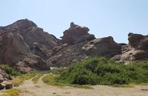 Walvis Bay Cruiseliner Excursion