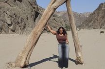 Walvis Bay Cruiseliner Excursion