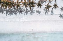 Bahamas, Nassau: Beach and Trail Horseback Riding 