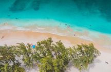 Bahamas, Nassau: Beach and Trail Horseback Riding 