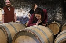 2h immersive tasting in Beaujolais - Wine and Chocolate Accord