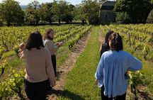 2h immersive tasting in Beaujolais - Wine and Chocolate Accord