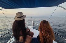 Private Tour 3 Hours of Whale Watching 