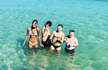 Anna Maria Island Dolphins & Beginners Snorkeling Adventure 3hrs